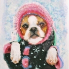 vallapastel