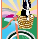 rainbowrider